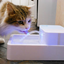 Load image into Gallery viewer, Pet Water Fountain