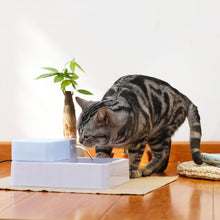 Load image into Gallery viewer, Pet Water Fountain