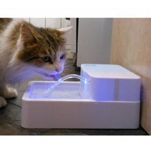 Load image into Gallery viewer, Pet Water Fountain