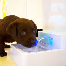Load image into Gallery viewer, Pet Water Fountain